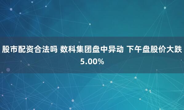 股市配资合法吗 数科集团盘中异动 下午盘股价大跌5.00%