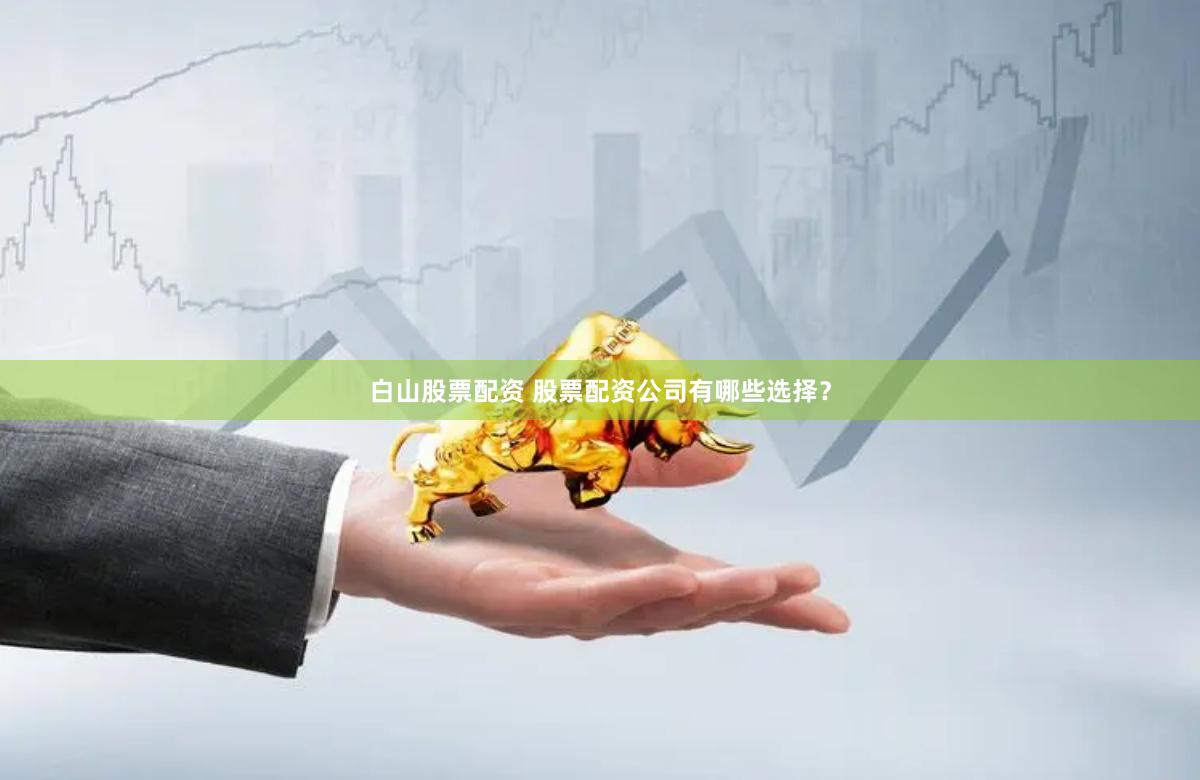 白山股票配资 股票配资公司有哪些选择？