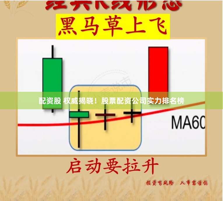配资股 权威揭晓！股票配资公司实力排名榜