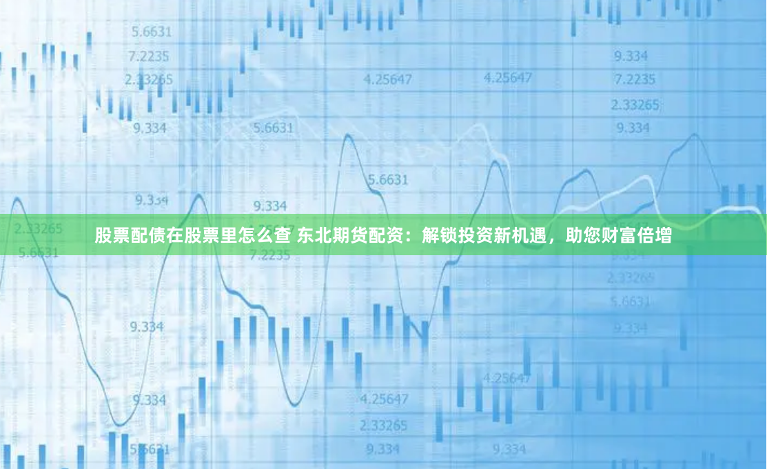 股票配债在股票里怎么查 东北期货配资:解锁投资新机遇,助您财富倍增